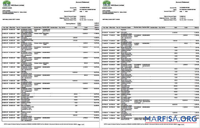 Realistic Pakistan MCB Bank account statement word 2 pages template